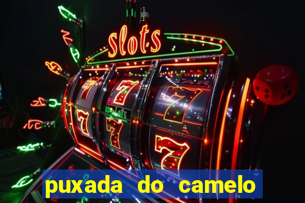 puxada do camelo jogo do bicho